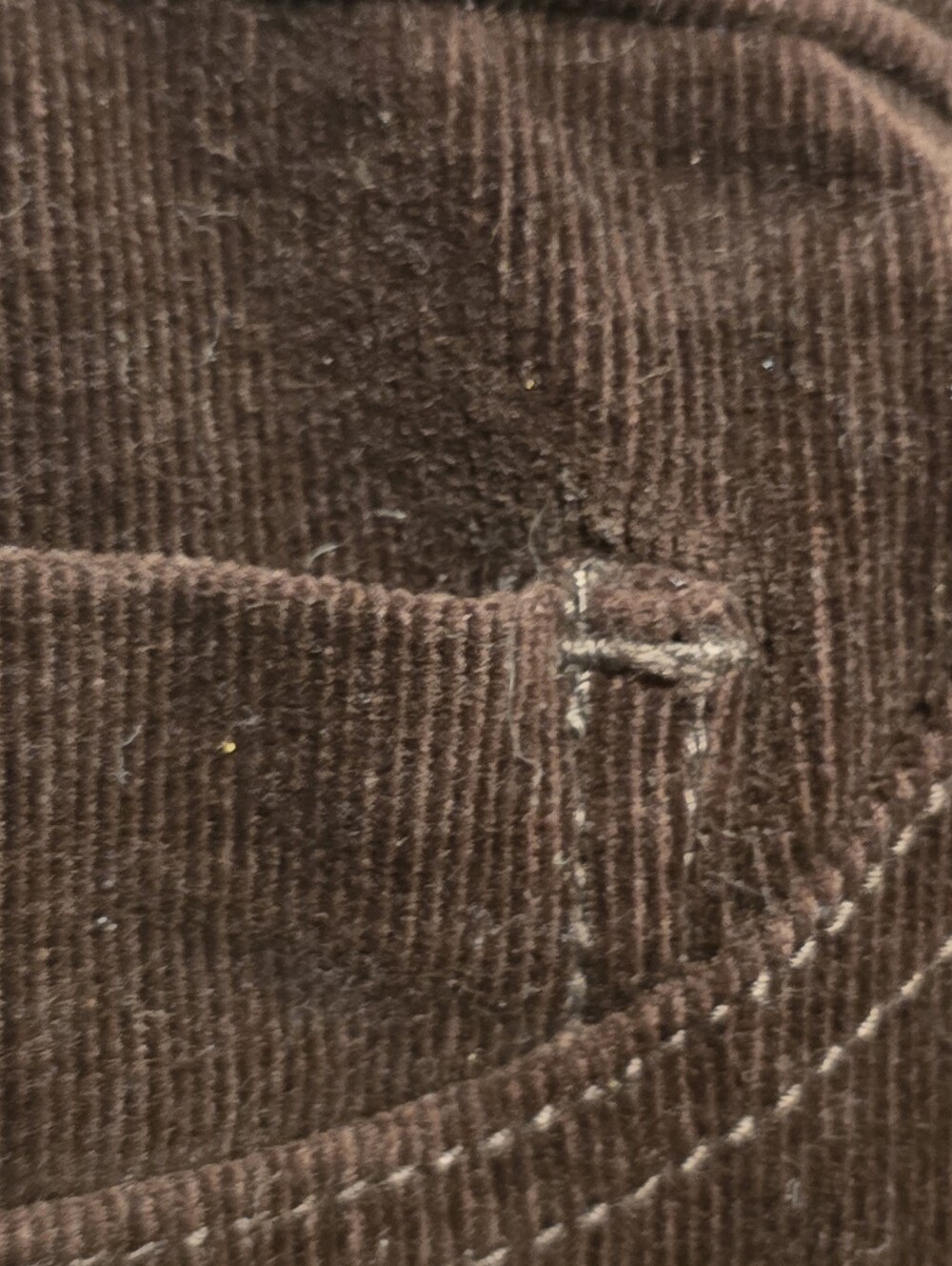 Pilcro Women’s Aubergine Corduroy Button Fly Skinny Pants Stretch Pockets Sz 30 - Picture 3 of 8